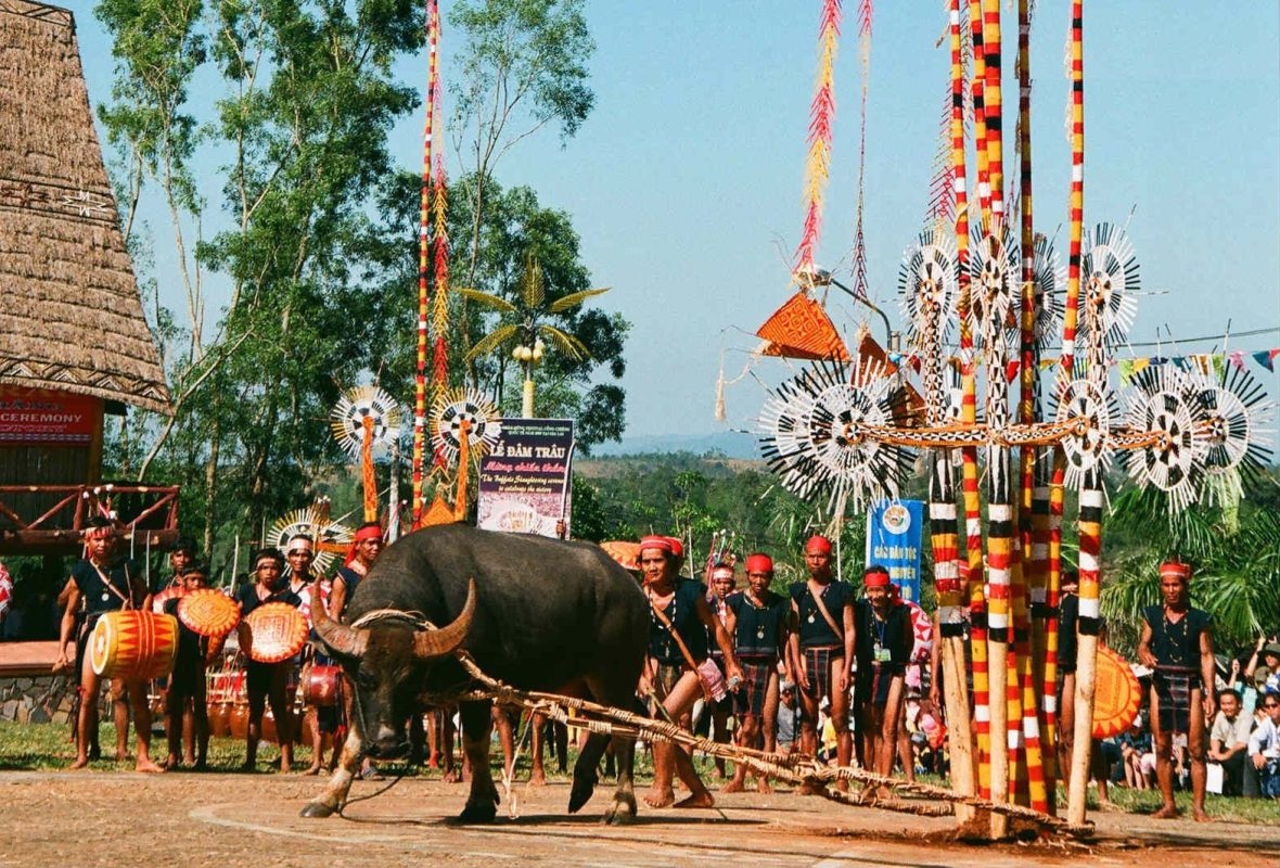 Văn Hóa Việt